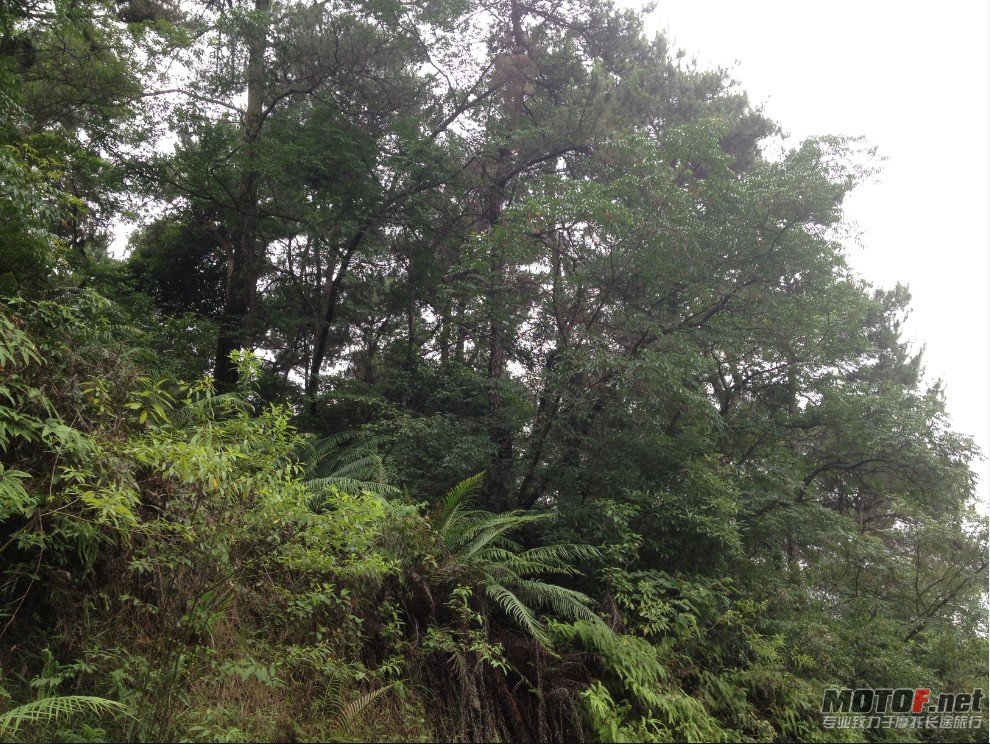 QQ截图20120529142910.jpg