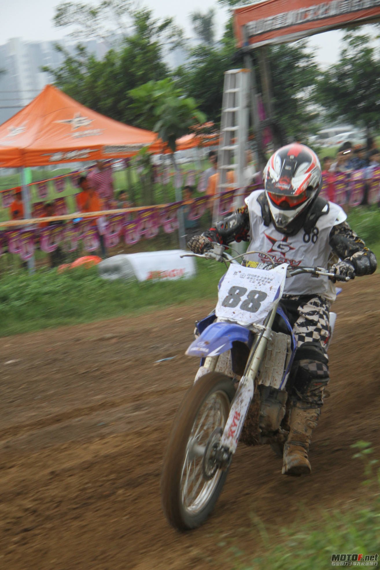 IMG_8478.JPG