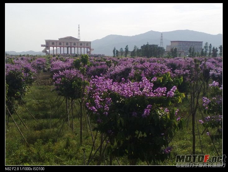 nEO_IMG_图像254.jpg