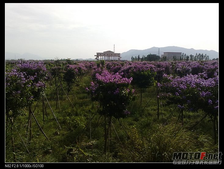 nEO_IMG_图像261.jpg