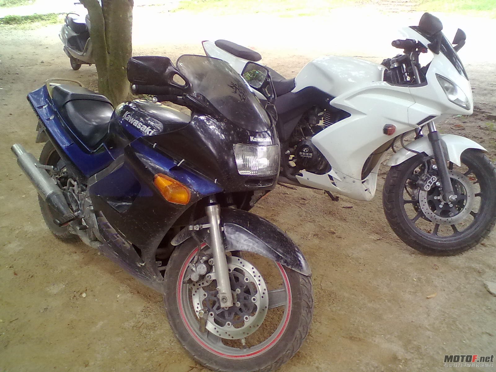 20120602039.jpg