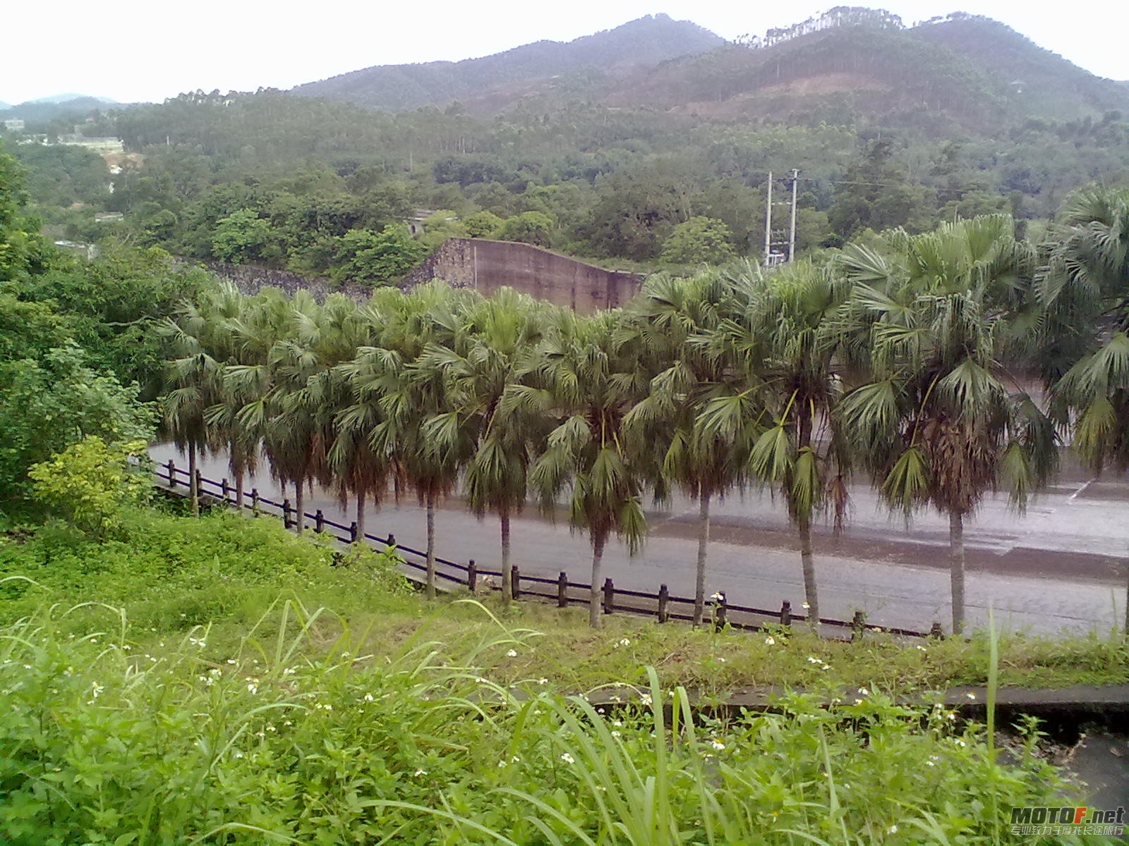 20120602090.jpg