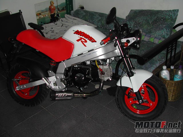 R_98_1x640.jpg