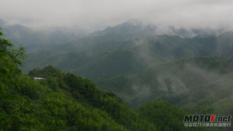 IMG_3440.jpg