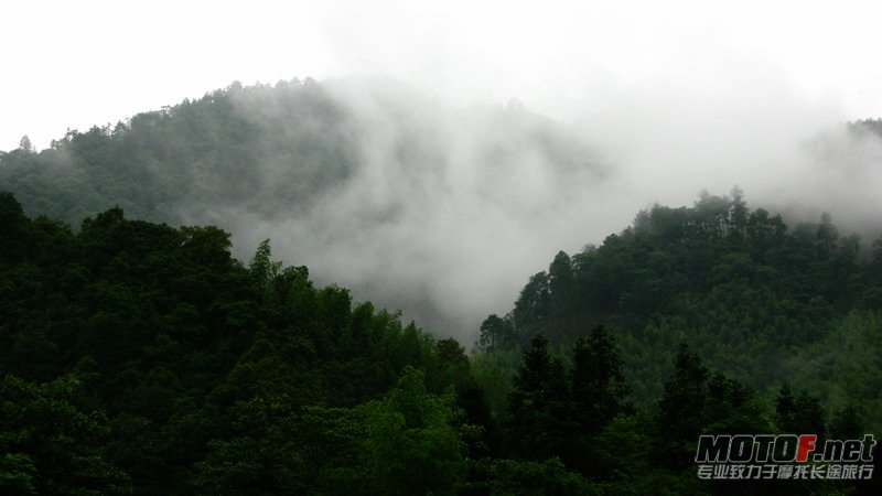 IMG_3433.jpg