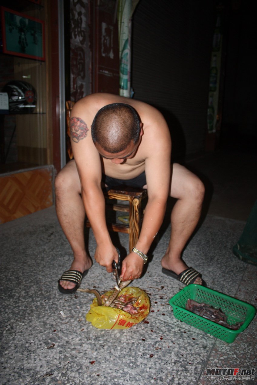 杀蛇煲粥记 004.jpg