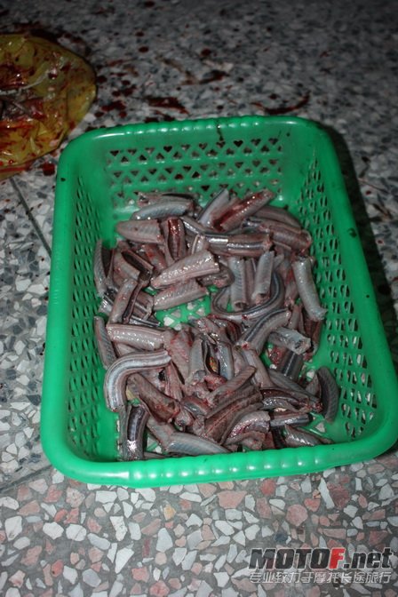 杀蛇煲粥记 006.jpg