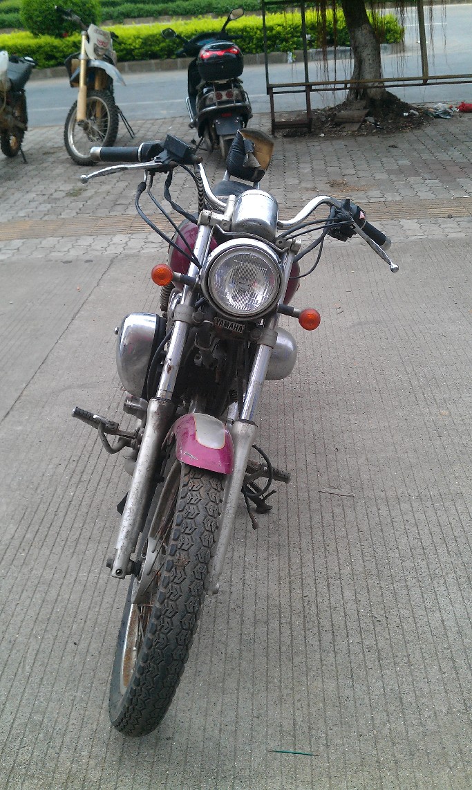 BigBull_IMAG0399.jpg
