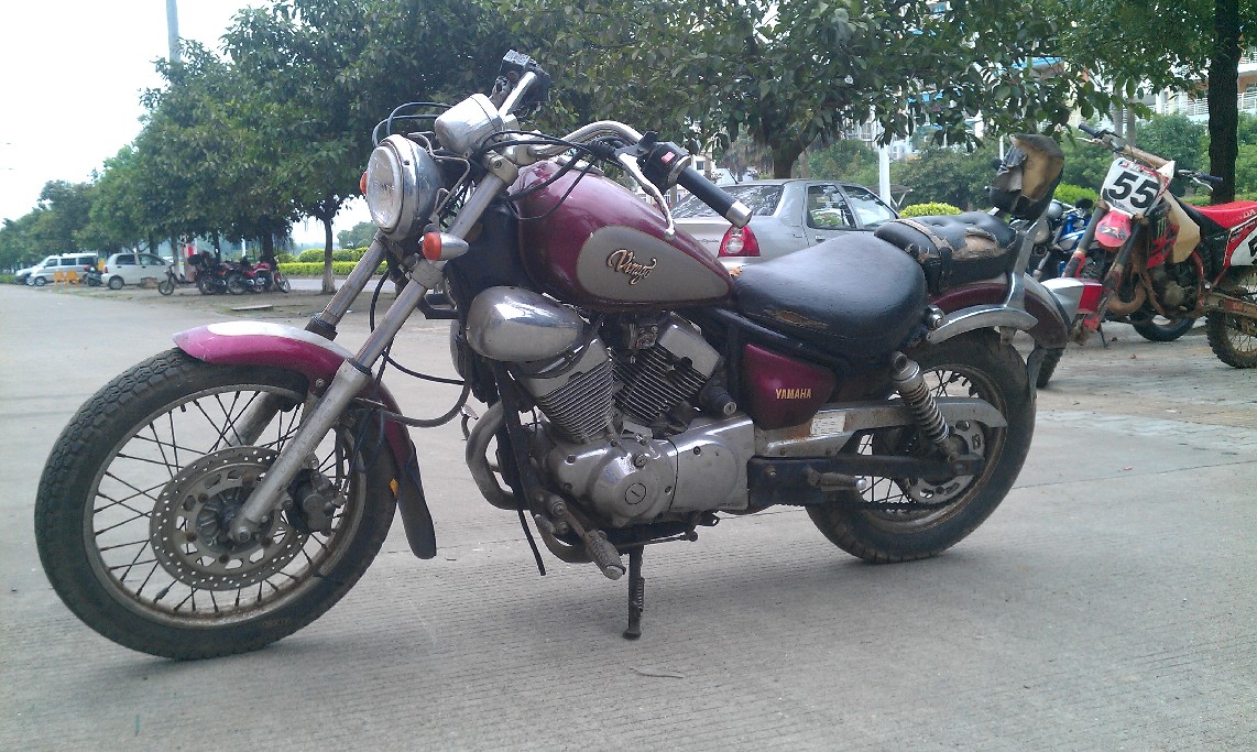 BigBull_IMAG0397.jpg