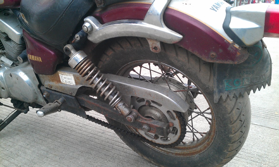 BigBull_IMAG0401.jpg