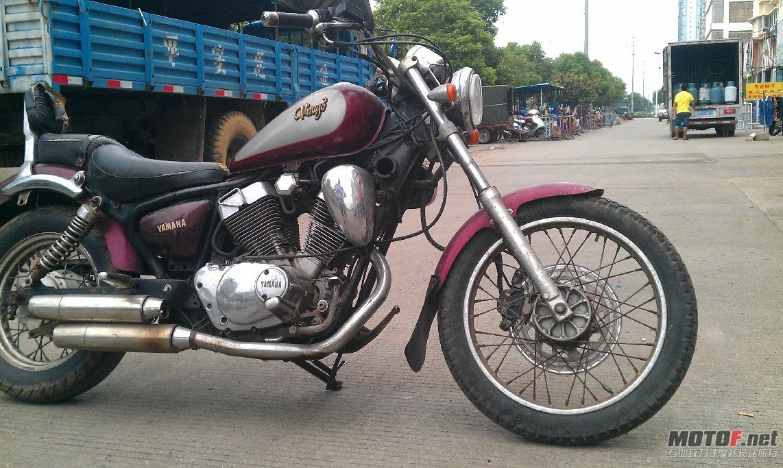 BigBull_IMAG0403.jpg
