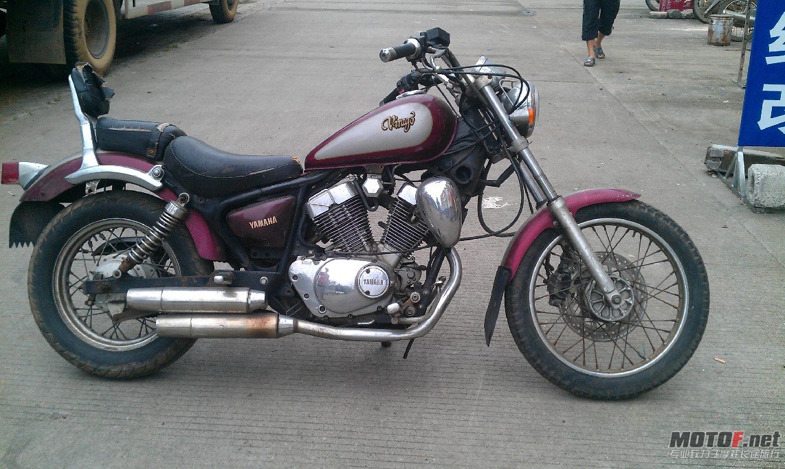 BigBull_IMAG0398.jpg