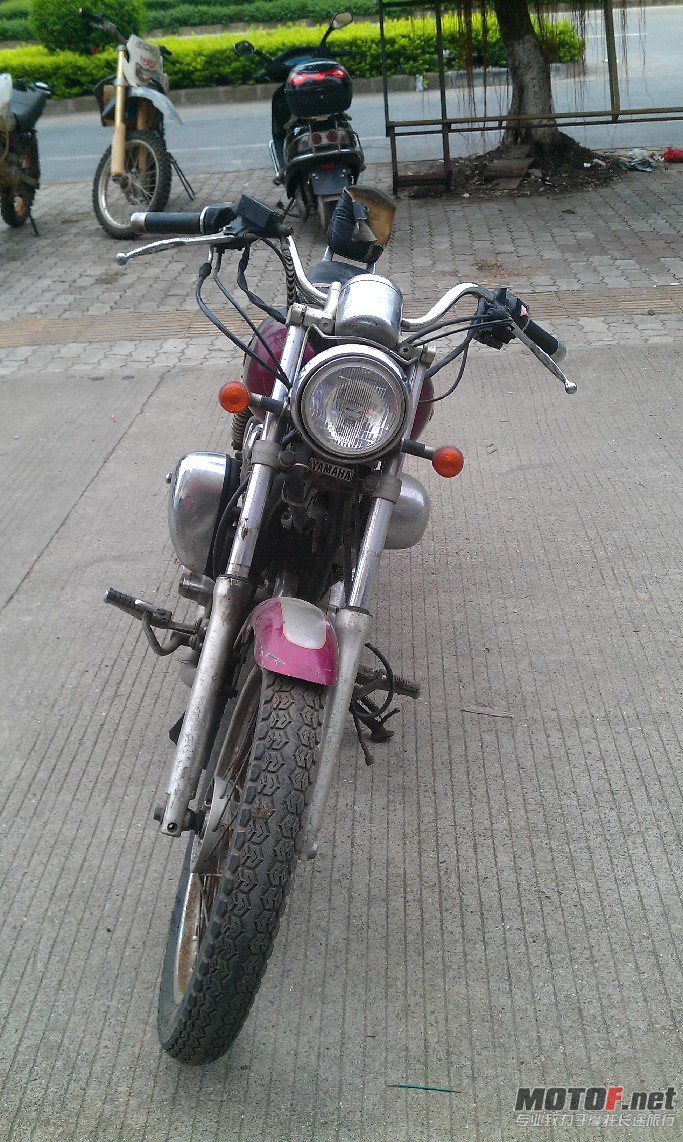 BigBull_IMAG0399.jpg