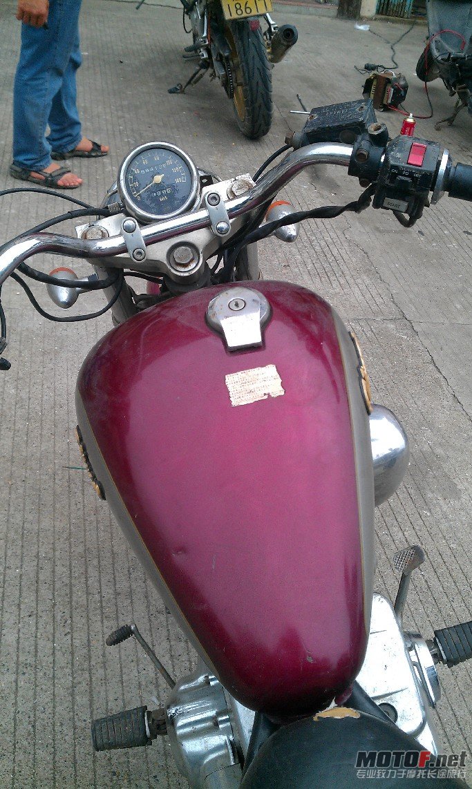 BigBull_IMAG0400.jpg
