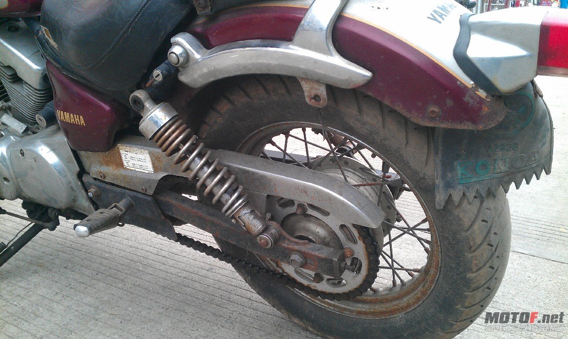 BigBull_IMAG0401.jpg