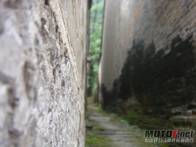 DSC05805.JPG