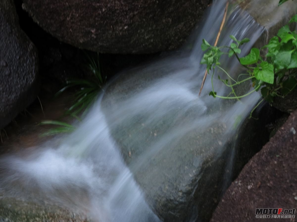 IMG_0080.jpg