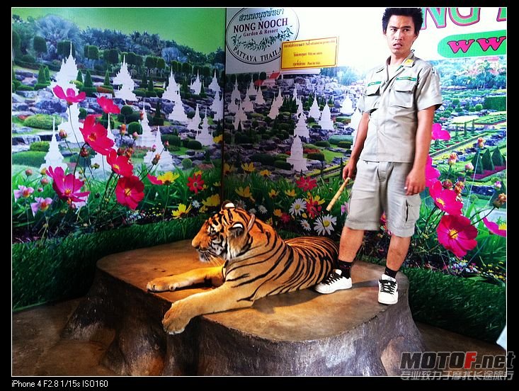 nEO_IMG_IMG_0910.jpg