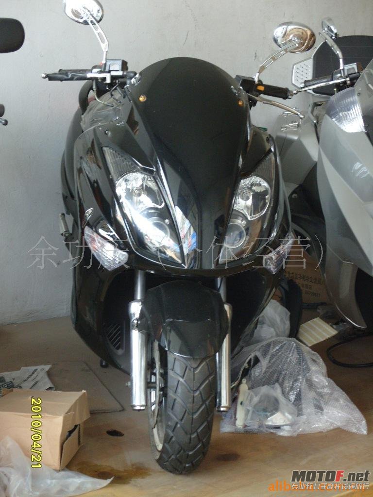 马杰斯特T31.jpg