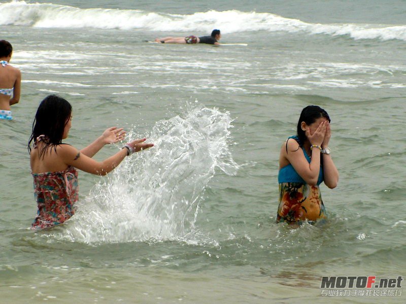 P1310856.JPG