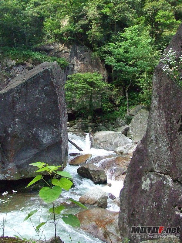 珠海 318_副本.jpg