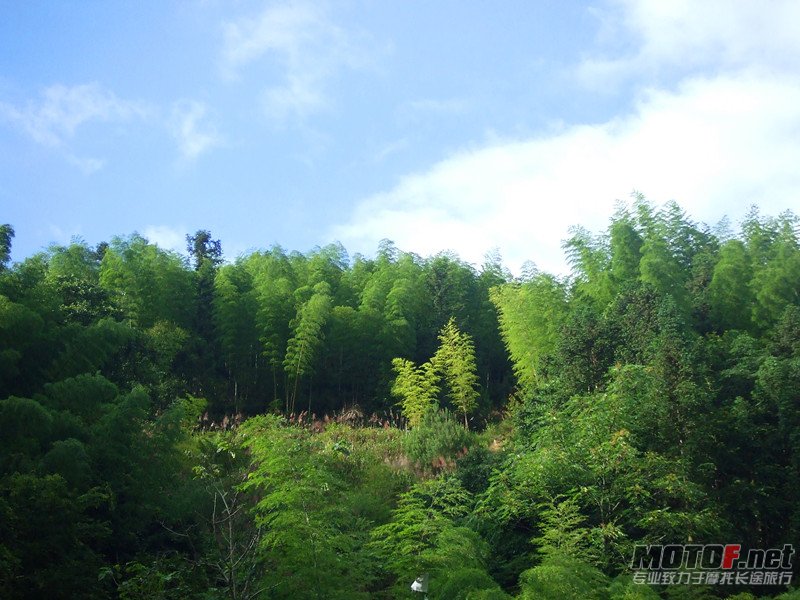 珠海 279_副本.jpg