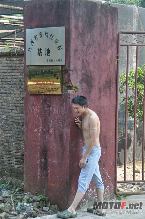 77.jpg