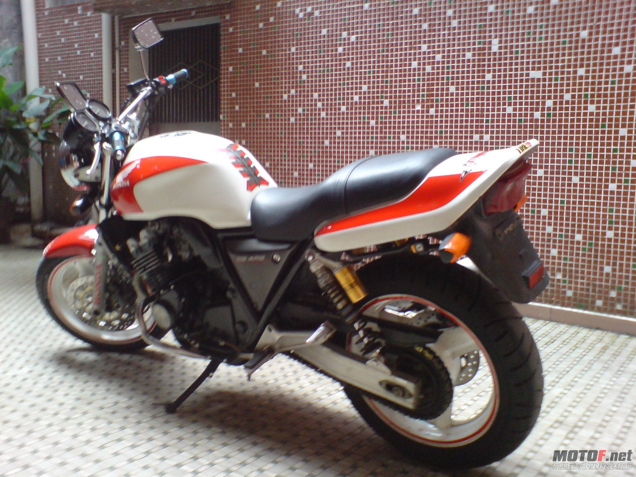 DSC05076.JPG