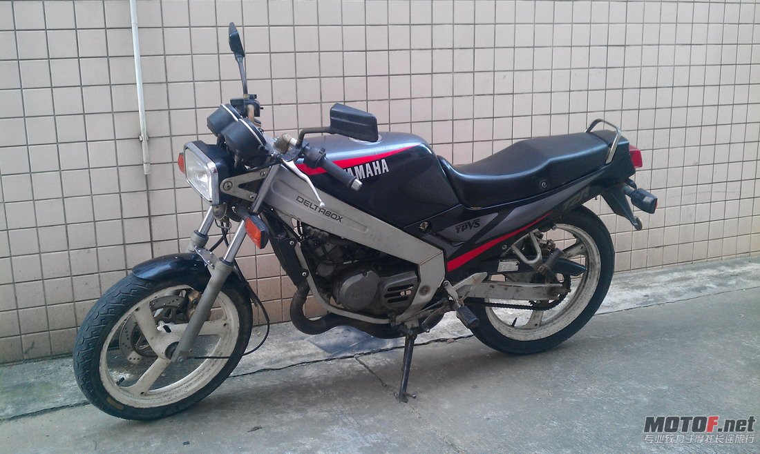IMAG0074.jpg