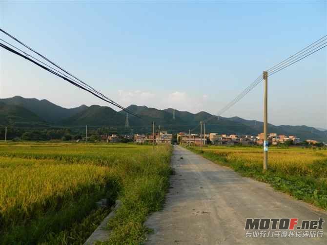 群猪家的道路.jpg