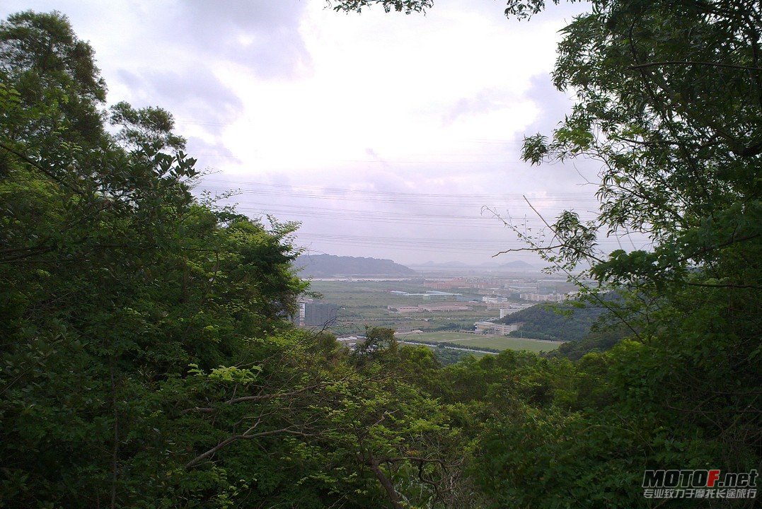 爬鸡14.jpg