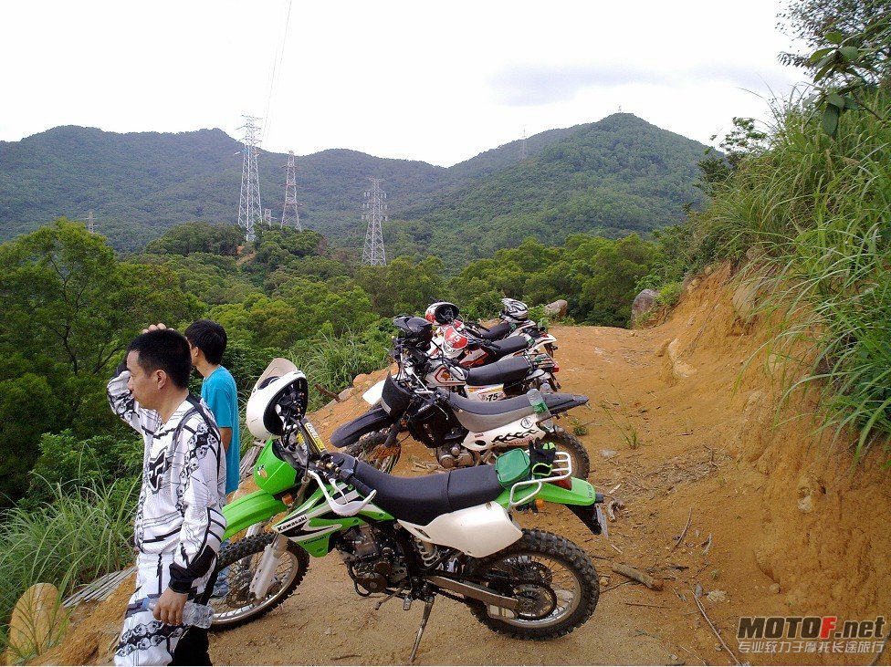 爬鸡20.jpg