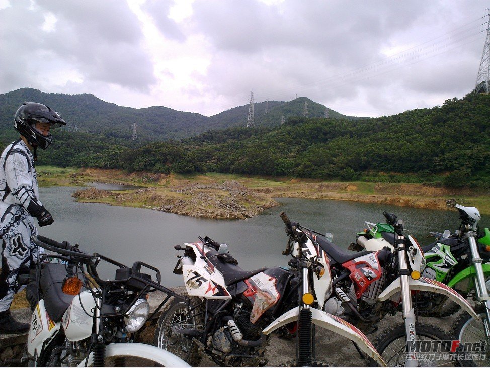 爬鸡37.jpg