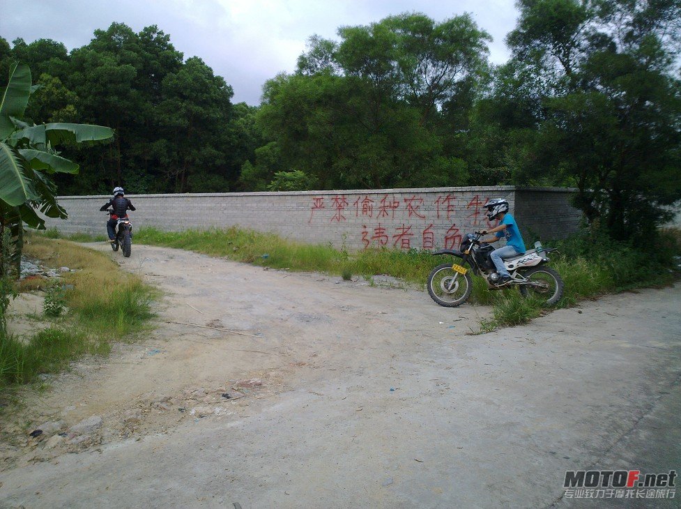 爬鸡42.jpg