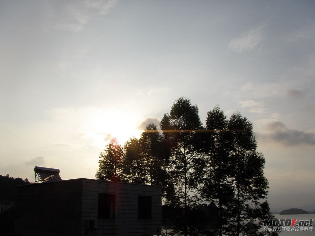 P7150441.jpg