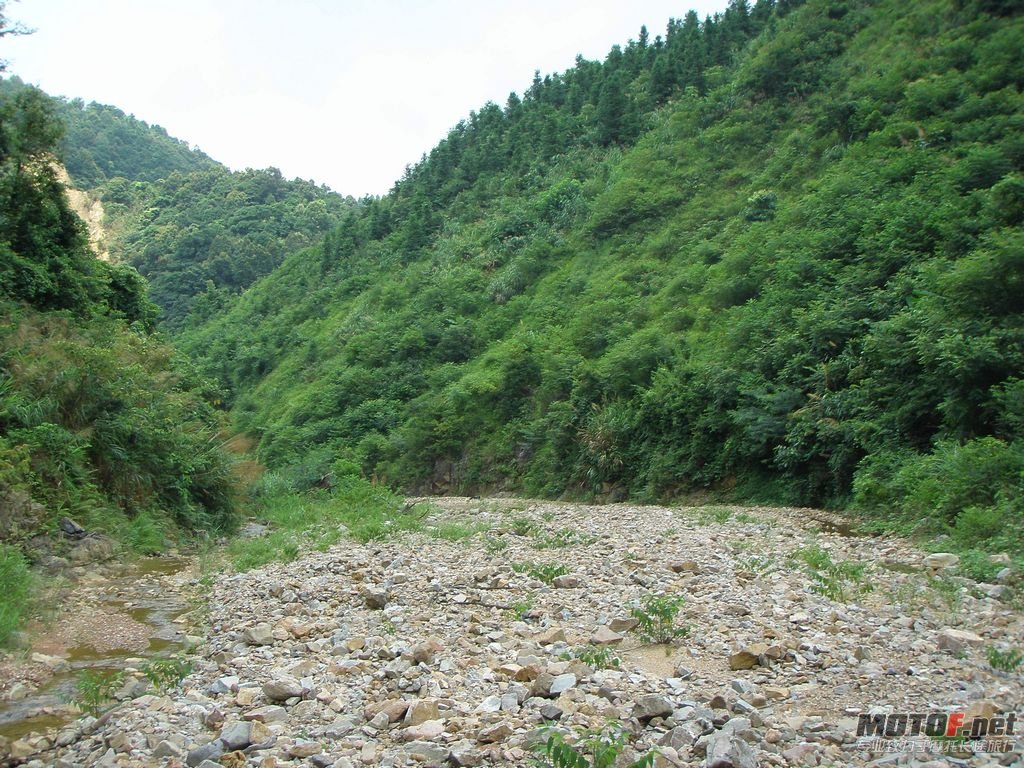 P7150457.jpg