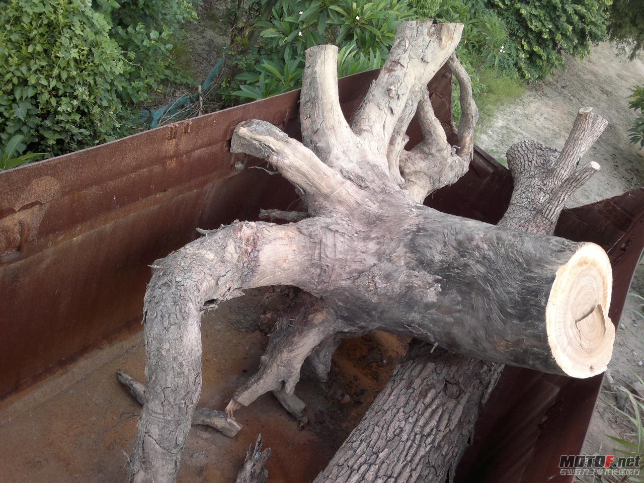 20120717458.jpg