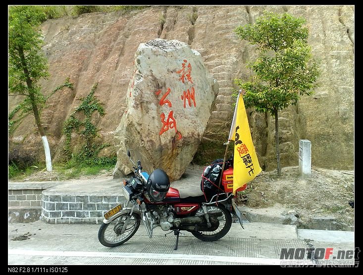 图像393.jpg