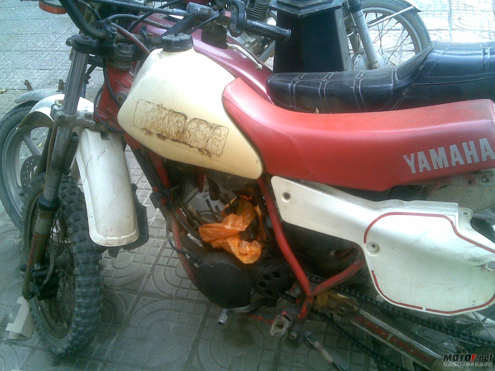 20100823.jpg