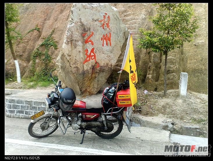 图像398.jpg