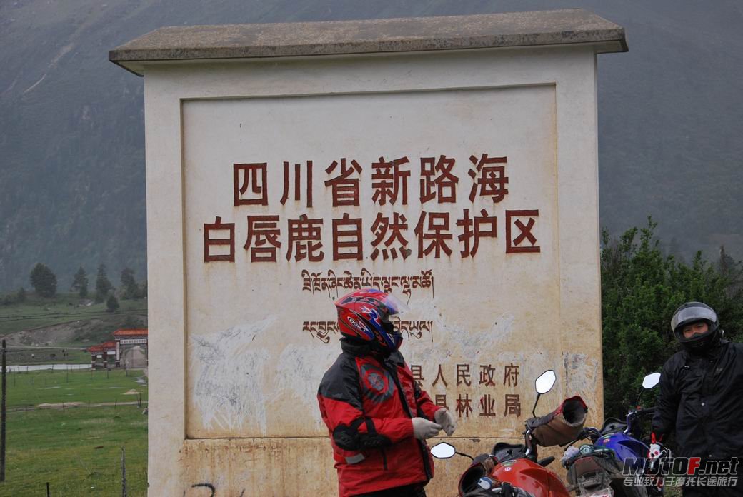 天堂新路海
