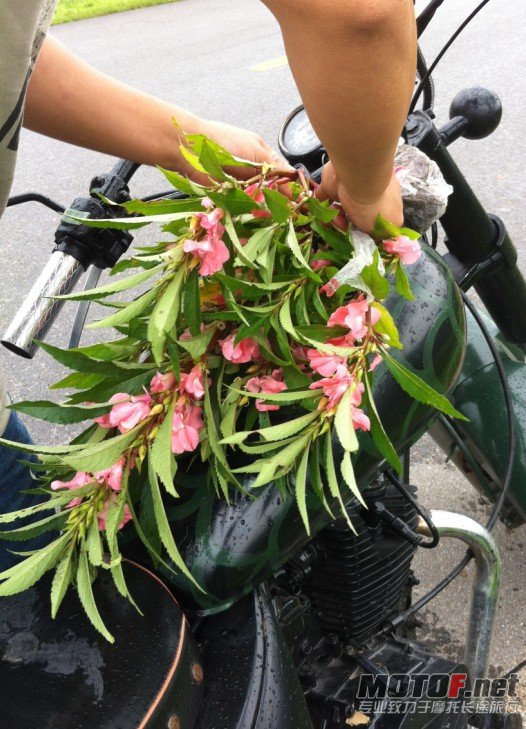 QQ截图20120731102856.jpg