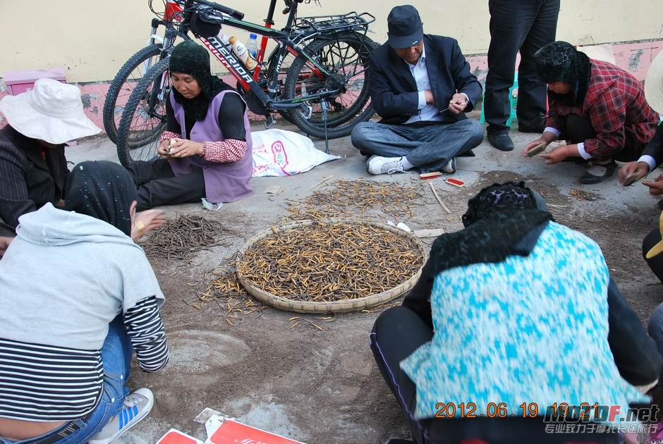 感觉那里是在刷圣草哟