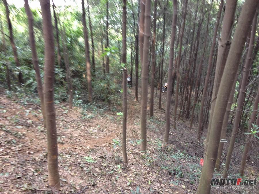 调整大小 IMG_0366.JPG