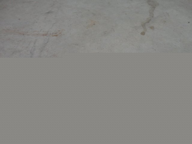DSC01946.JPG