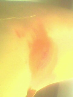 IMG0664A.jpg