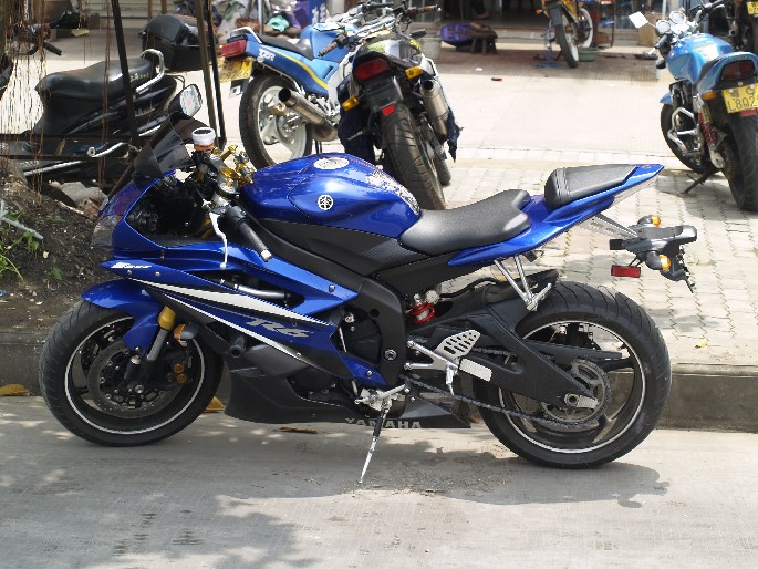BigBull__1010009.JPG