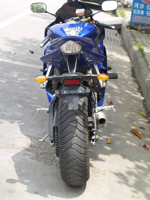 BigBull__1010004.JPG