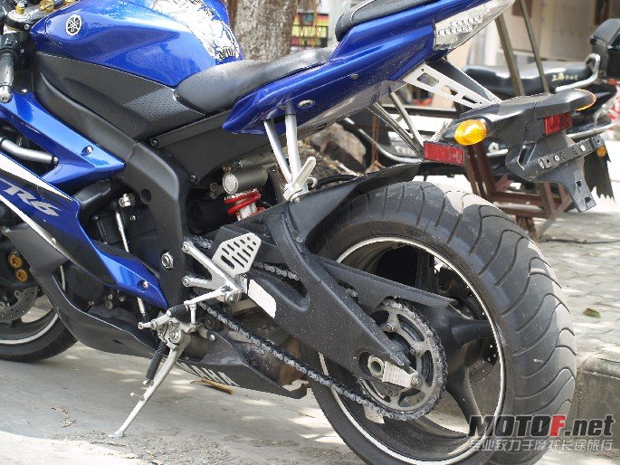 BigBull__1010003.JPG
