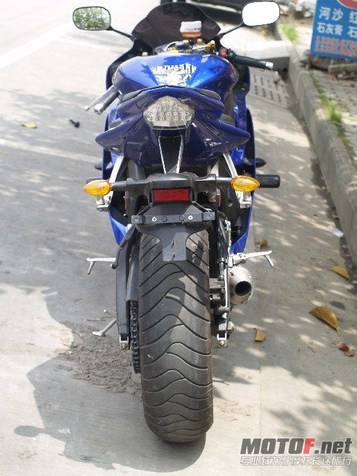 BigBull__1010004.JPG